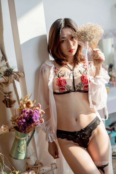 莲花楼电视剧免费观看完整版